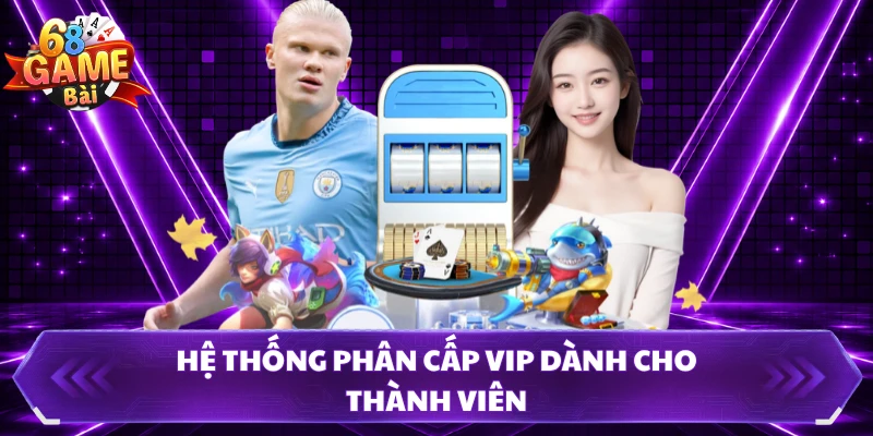 Hệ thống phân cấp VIP dành cho thành viên 